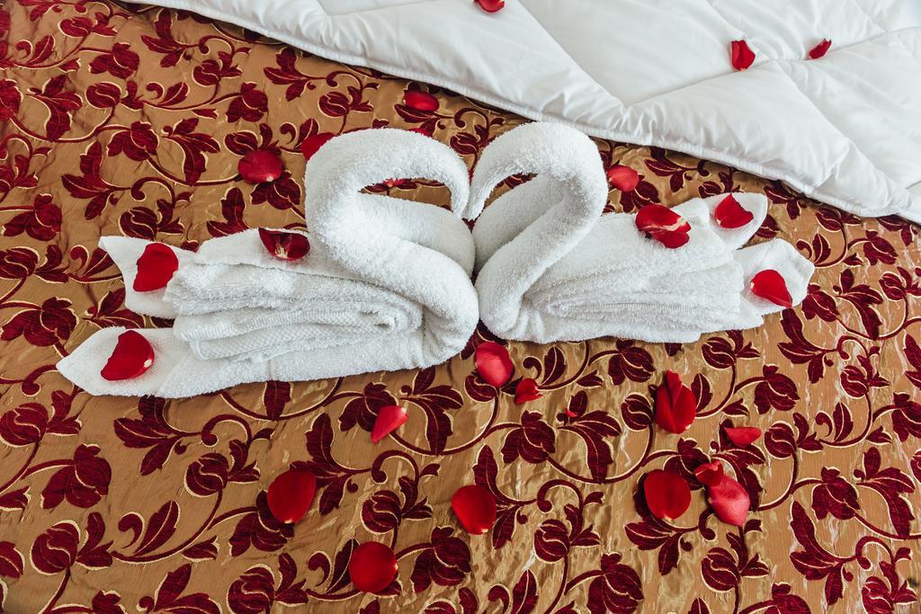 Hotel Azzurro ヘルツェグ・ノヴィ エクステリア 写真